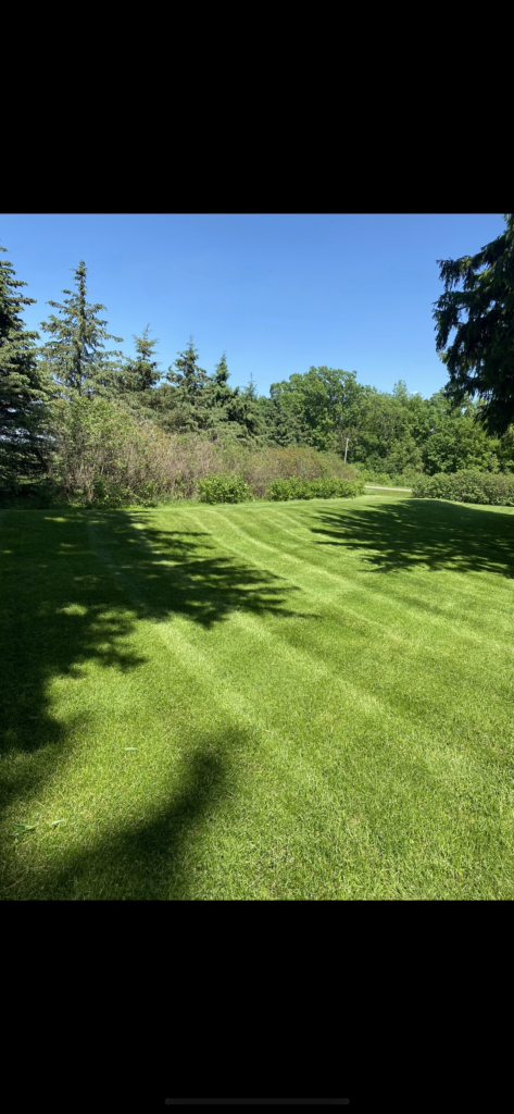 2659A7CC 59A7 4079 9FC9 1F176C701422 scaled