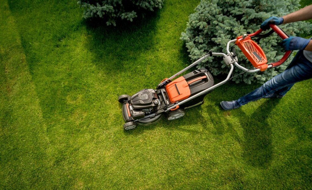 gardener mowing lawn lcare andscape design green grass background 179755 9066